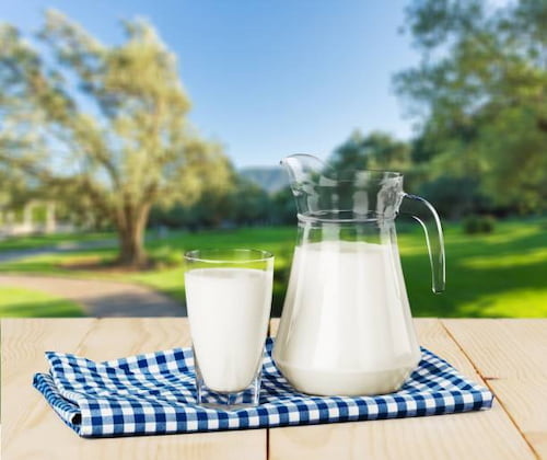 تصویر 4 از فروش دوغ نعنا پونه + قیمت خرید به صرفه